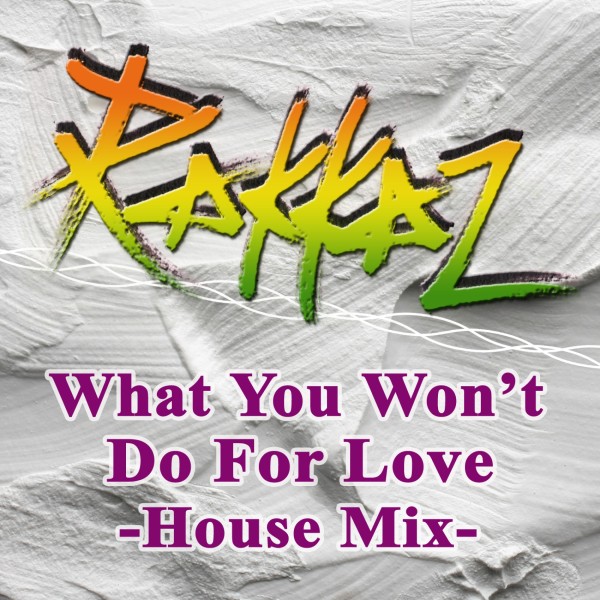 What You Won't Do For Love - House Mix