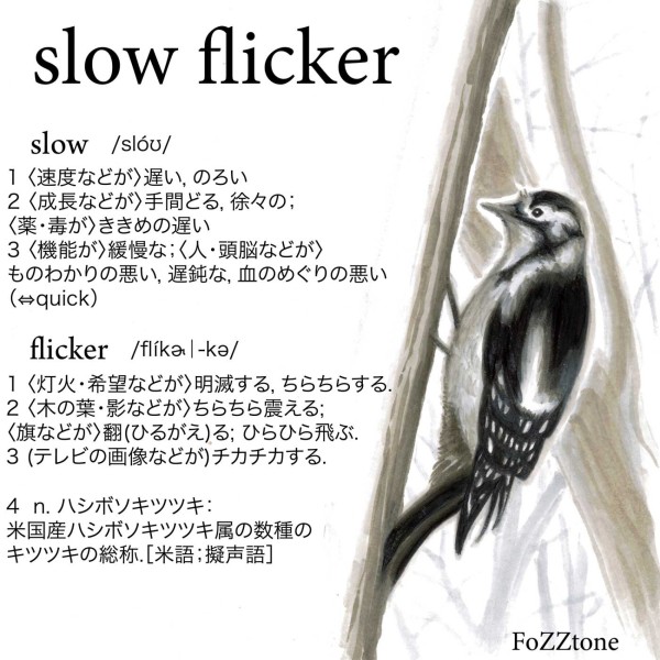slow flicker(live ver.)