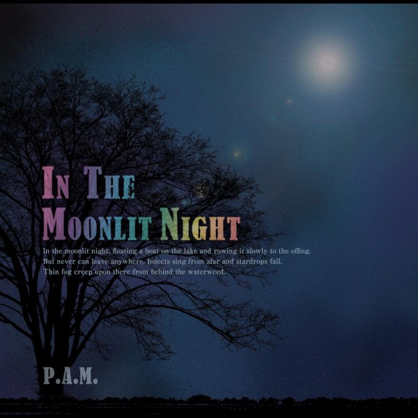 In The Moonlit Night