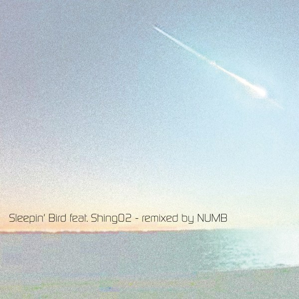 Sleepin' Bird feat. Shing02 - remixed by NUMB