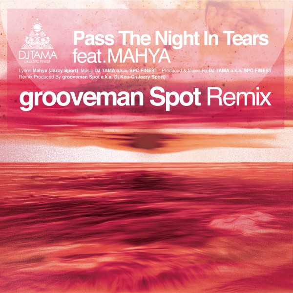 Pass The Night In Tears grooveman Spot Remix