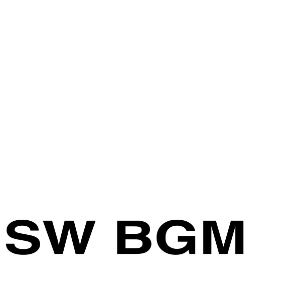 SW BGM NO1