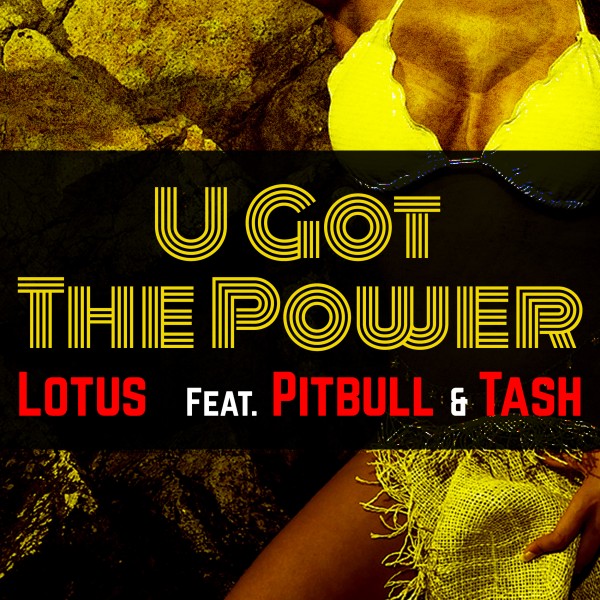 U Got The Power (feat. Pitbull & Tash)