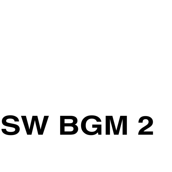 SW BGM 2