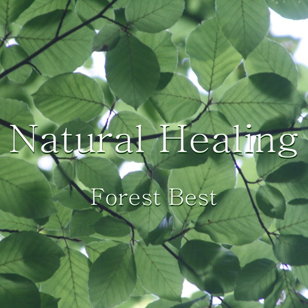 Natural Healing Forest Best