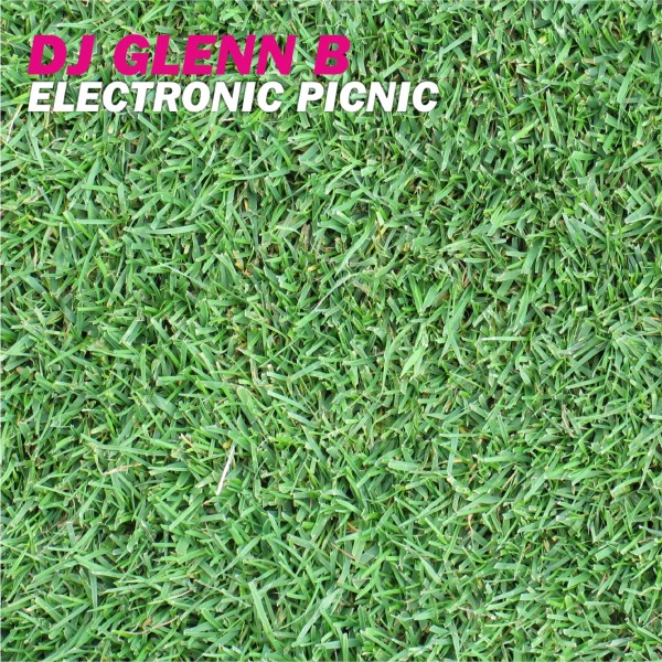 Electronic Picnic [Original Extended Mix]