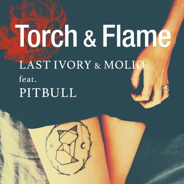 Torch & Flame (feat. Pitbull)