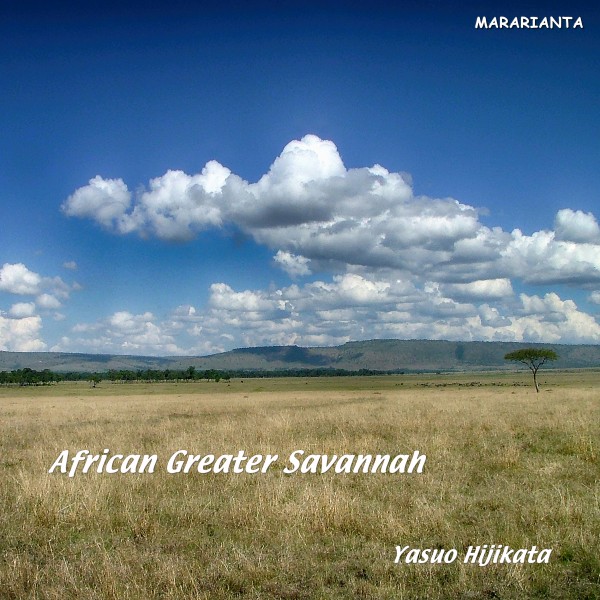 African Greater Savannah　アフリカ大サバンナ