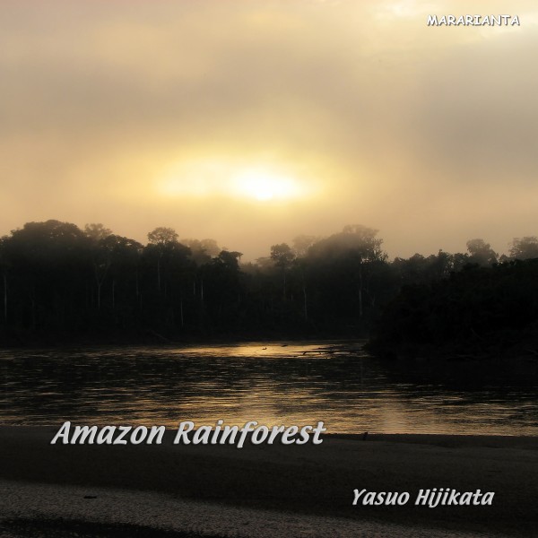 Amazon Rain Forest　アマゾン熱帯雨林