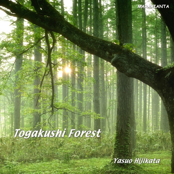 Togakushi Forest　戸隠の森