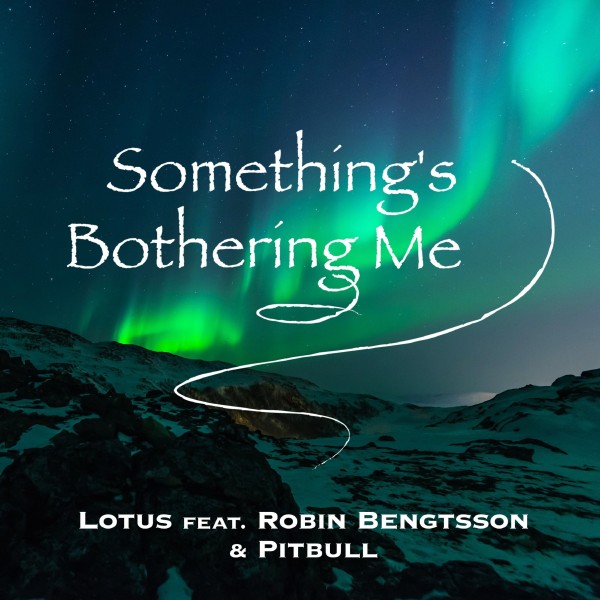 Something's Bothering Me (feat. Robin Bengtsson & Pitbull)