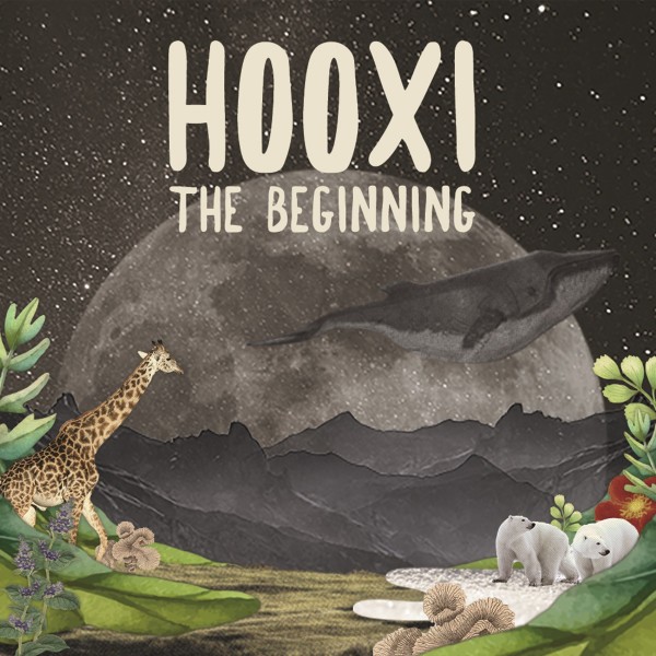 Hooxi, the Beginning