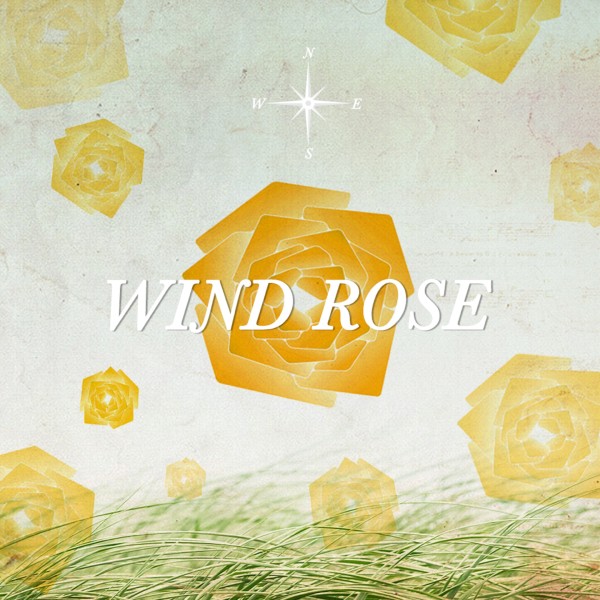 Wind rose