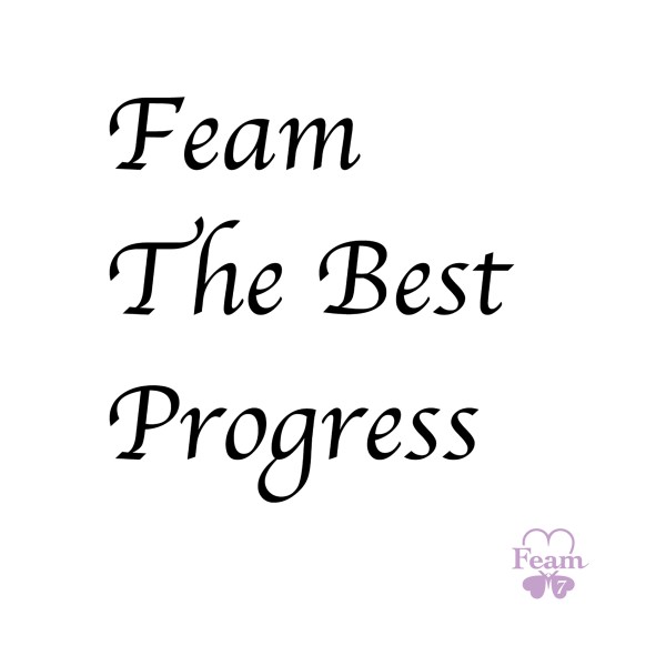 Feam The Best Progress