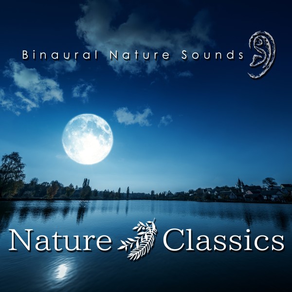Nature Classics - sea wave (binaural environmental sound)