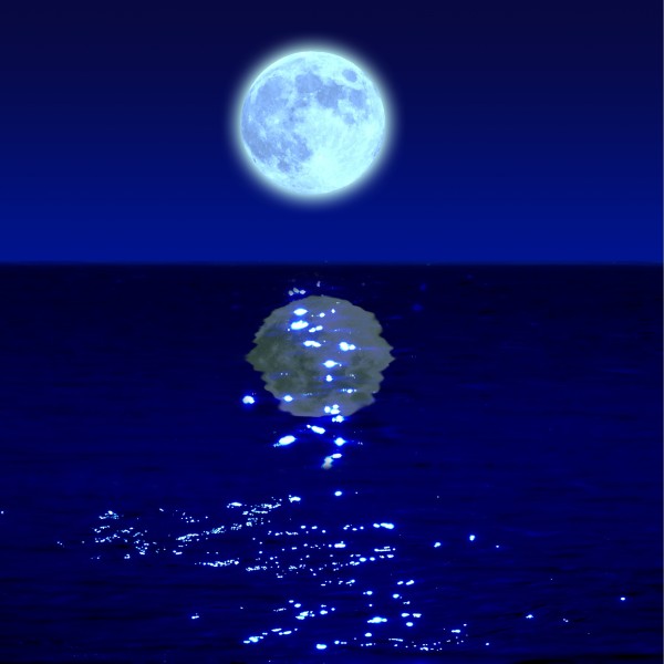 空 ～clair de la lune～ feat.神威がくぽ