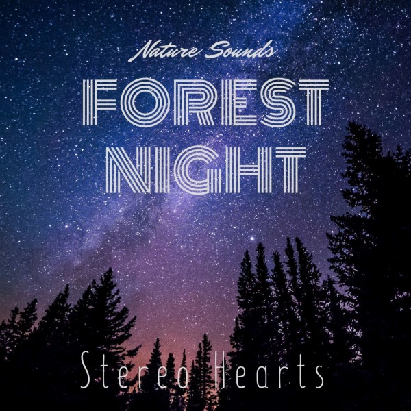 Forest Night（Nature Sounds）