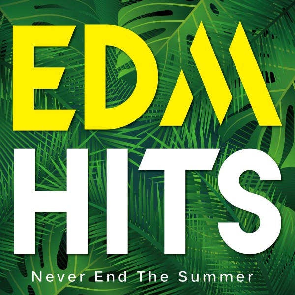 EDM HITS - Never End The Summer -