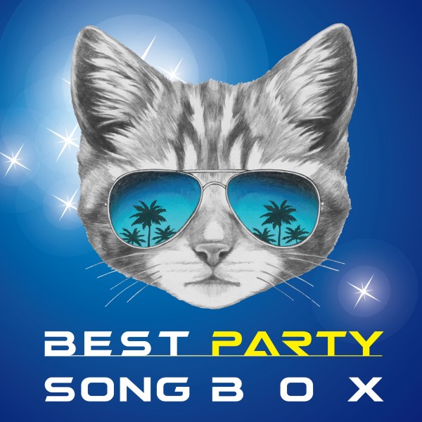 BEST PARTY SONG BOX
