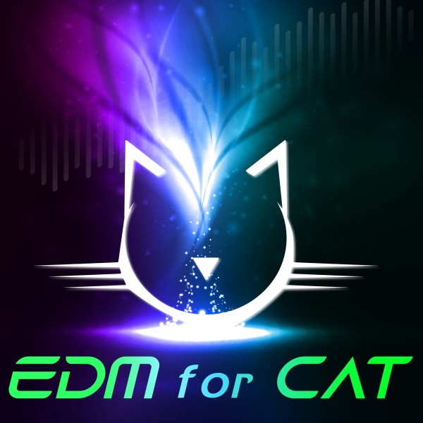 Edm for Cat
