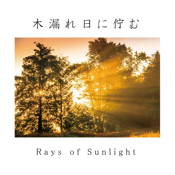 Rays of Sunlight