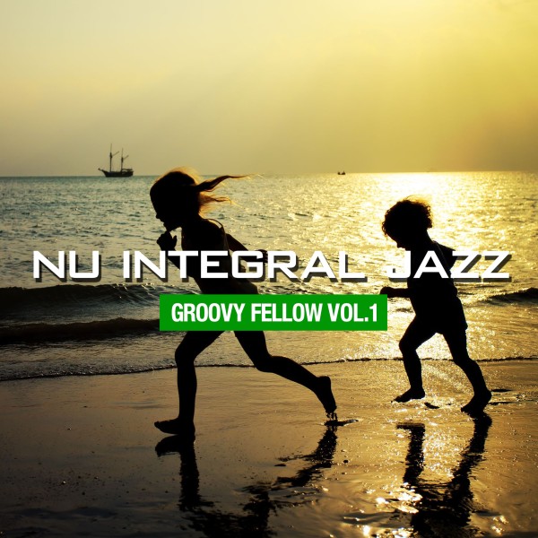 Nu Integral Jazz -Groovy Fellow- vol.1