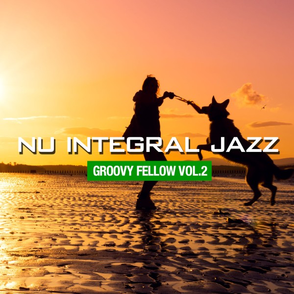 Nu Integral Jazz -Groovy Fellow- vol.2