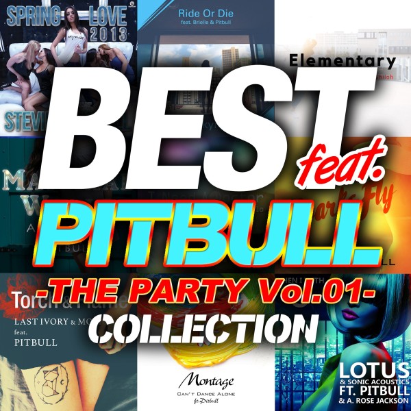 BEST feat. PITBULL COLLECTION - THE PARTY Vol.01 -