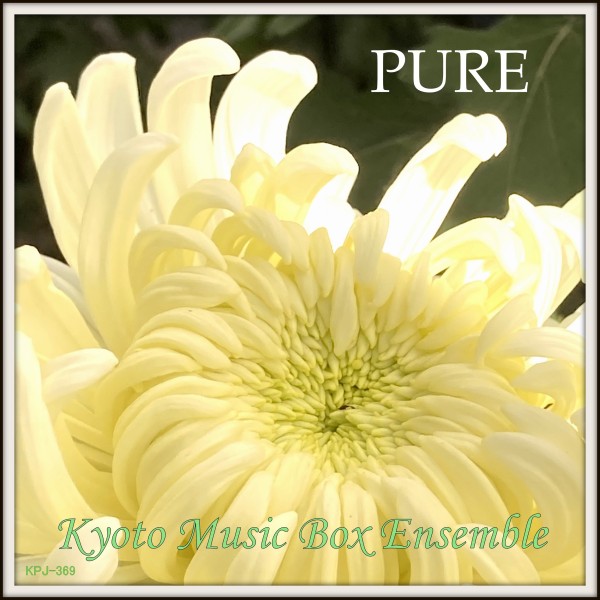 PURE - music box