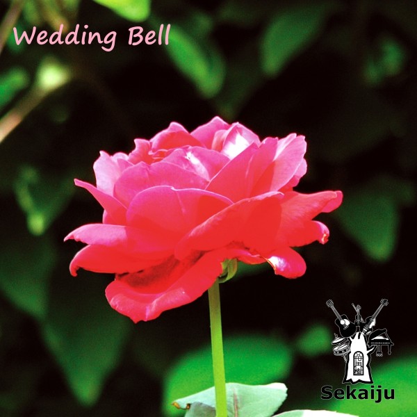 Wedding Bell (feat. 巴子)