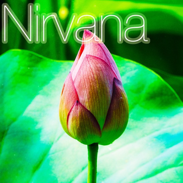 涅槃-Nirvana-ハープ・シンギングボール・尺八の瞑想・ヒーリングミュージック