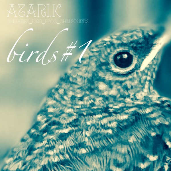 Atari.K birds#1