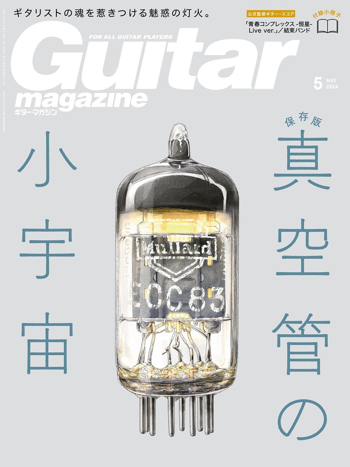 Guitar magazine