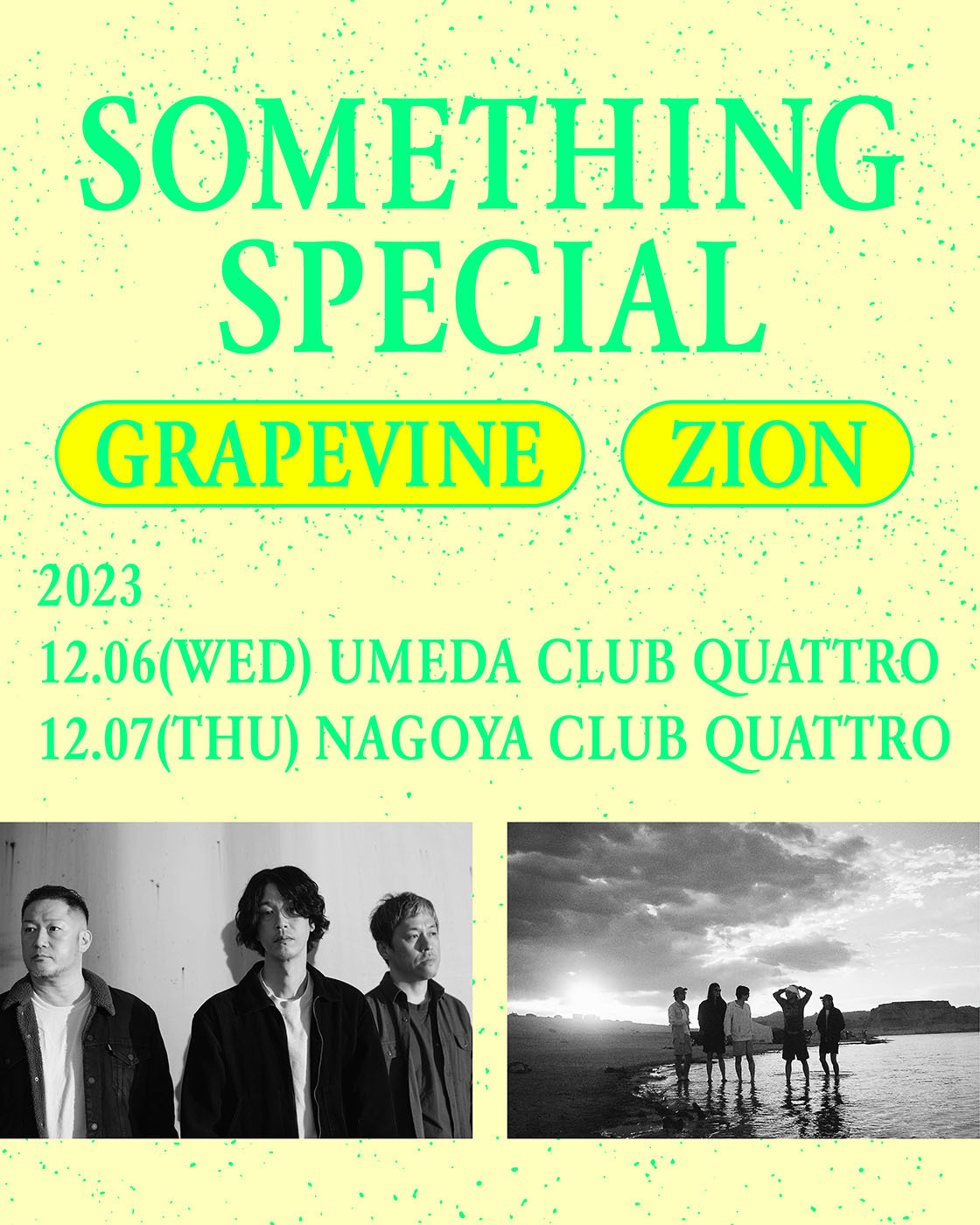 SOMETHING SPECIAL GRAPEVINE x ZION