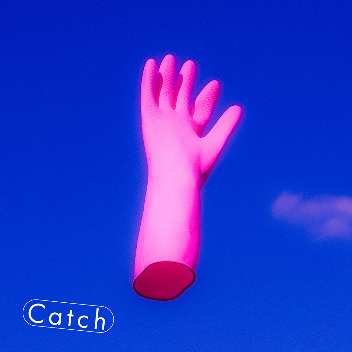 ハク。『Catch』