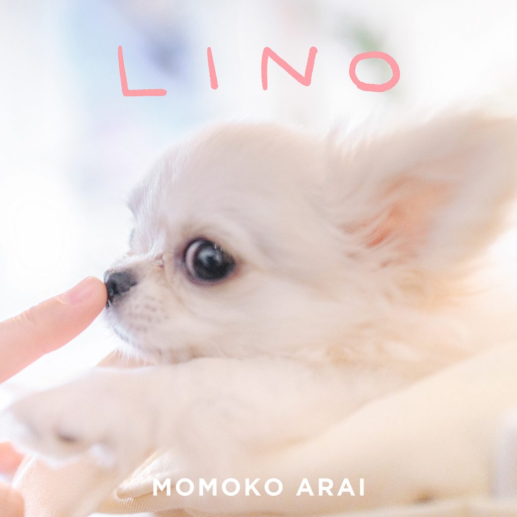 荒井桃子 配信シングル『LINO』
