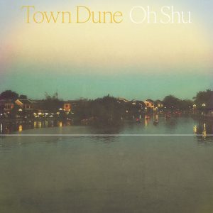 王舟 『Town Dune』