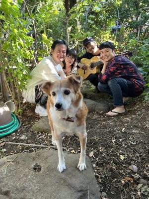 『白い象の生きられる社会～雨もりにご用心！ひとつ屋根のした、犬と絵描きと歌うたいたち～』