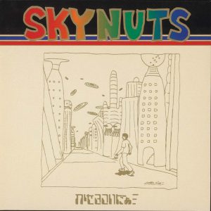 かせきさいだぁ『SKYNUTS』